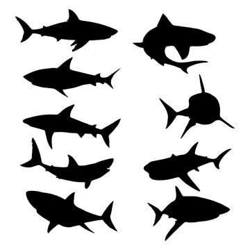 Black silhouette set of shark with mouth closed in different poses Shark with mouth closed giant apex predator cartoon animal design flat vector illustration isolated on white background
