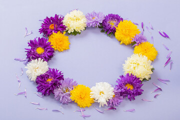 background of beautiful asters on paper sheet