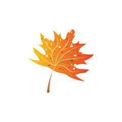 Orange leaf vector illustration, autumn leaf flat icon, leaf illustration