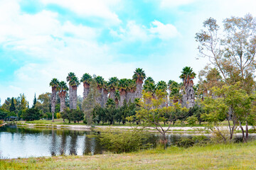 High quality photography. Lake with water in summer. Lake in the park. The image of beautiful nature. Lakeview