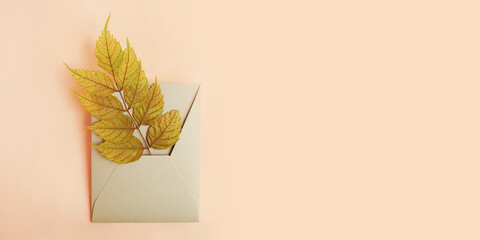 Photography from above of craft envelope with dry leaf in it.Autumn concept,large banner.