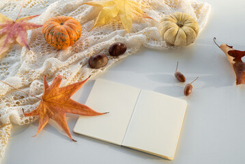 Autumn composition. Blank calendar, notebook mockup over white background. Pumpkins, dry leaves, acorns and chestnuts. Autumn, fall, halloween concept