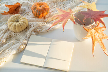 Autumn composition. Blank calendar, notebook mockup over white background. Pumpkins, dry leaves. Autumn, fall, halloween concept. Daylight at sunset