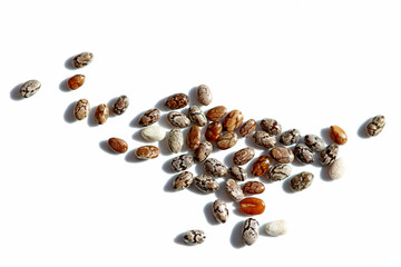 Chia seeds on a white background, macro photography
