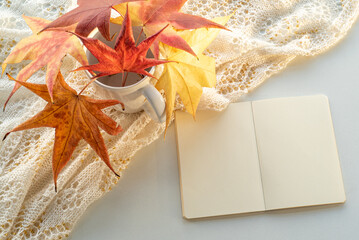 Autumn composition. Blank calendar, notebook mockup over white background. Colourful dry leaves. Autumn, fall, halloween concept. Daylight at sunset