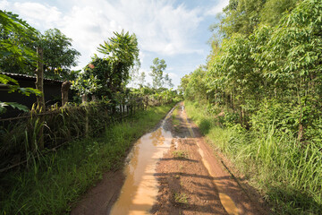 Fototapeta na wymiar rural area in Amphoe Kabin Buri, Thailand.