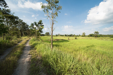 rural area in Amphoe Kabin Buri, Thailand.
