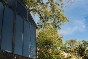 Modern window glass building with tree and blue sky in tropical resort