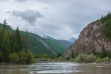 Atmospheric overcast landscape with wide mountain river and coniferous trees against snowy mountains in rainy low clouds. Gloomy scenery with large river and forest mountains under low gray cloudy sky