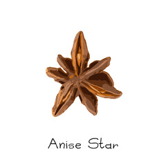 Collection of star anise, illicium or badiane isolated