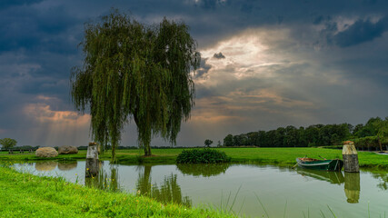 kleiner See mit einem Baum vor bewölktem Himmel