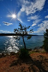 Piękny, soczysty wakacyjny pejzaż. Samotna pinia na tle Morza Adriatyckiego z nisko zawieszonym, wręcz nierealnie odwzorowanym przez soczewkę obiektywu słońcem