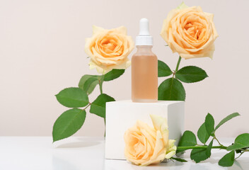 Mockup cosmetics serum with a pipette in a transparent frosted glass and orange liquid. Facial peeling with lactic Aha acid on a white cubic pedestal, beige background with roses
