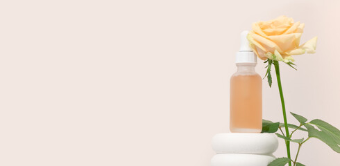 Mockup cosmetics serum with a pipette in a transparent frosted glass and orange liquid. Facial peeling with lactic Aha acid on a white pedestal, beige background with roses