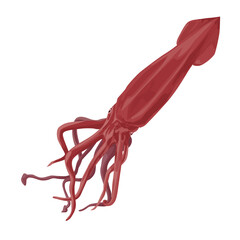 Obraz na płótnie Canvas Vector illustration of a bright red cartoon squid.