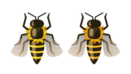 Bee. Vector clipart isolated on white background.