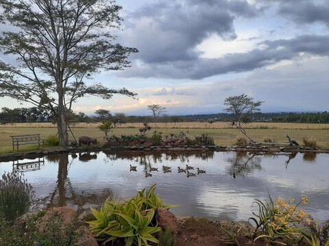 Lodge Near Nanyuki