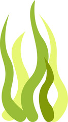 Seaweeds Sea Plant. Vector illustration