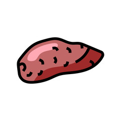 sweet yam potato color icon vector. sweet yam potato sign. isolated symbol illustration