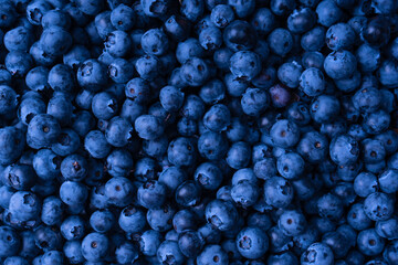 Fresh blueberry background. Texture blueberry berries close up.