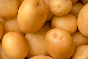 A group of fresh tasty potato as  background.