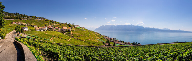 Panorama du Vignoble de Lavaux classé au patrimoine mondial de l'humanité en Suisse