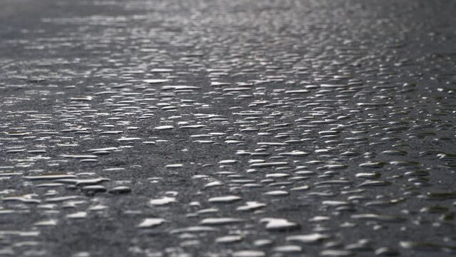 Drops of water lies on the asphalt road
