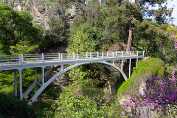 Fototapeta na wymiar A view of the arched pedestrian bridge in the Botanical Garden of Tbilisi. Georgia country