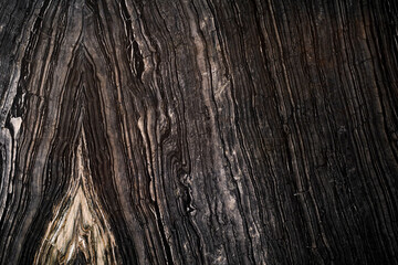 dark brown sapwood texture wallpaper.wood grain texture background. seamless pattern.
