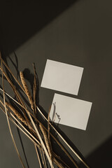 Paper sheet card with blank mockup copy space and dried grass stalks on dark background with shadow silhouette in soft sun light