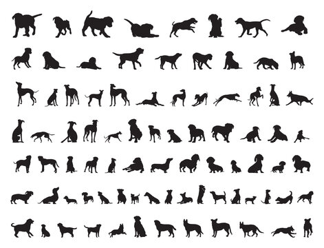 Dogs silhouettes,Dog collection, Dog silhouette Black Bundle