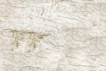 Old wood texture