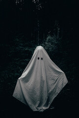 A child in a ghost costume among the trees in the forest - obrazy, fototapety, plakaty