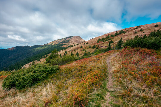 path to the peak in dappled light. beautiful autumn landscape in mountains with colorful meadows on the hillside. clouds on a blue sky above the ridge
