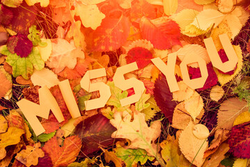 Naklejka na ściany i meble Cold snap, the onset of autumn. Decorative lettering, autumn concept. Letters Miss You on the background of fallen leaves