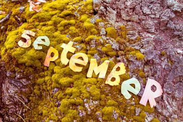 Cold snap, the onset of autumn. Decorative lettering, autumn concept. Letters September on the...