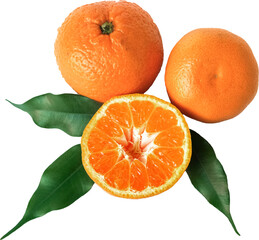 Whole and sliced tangerines with green leaves