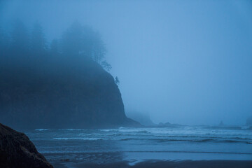 Olympic Peninsula fog