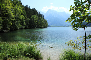 Almsee im Almtal, Österreich