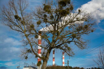 ocieplenie klimatu © witan