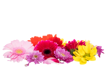 a bouquet of colorful flowers