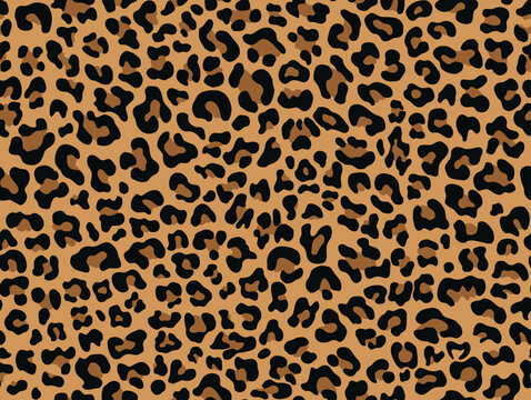 
leopard pattern animal cat texture seamless vector print, disguise