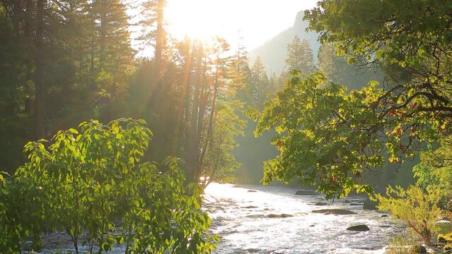 Beautiful morning shot of the sun shining on the Merced River as it runs through Yosemite National Park in California.