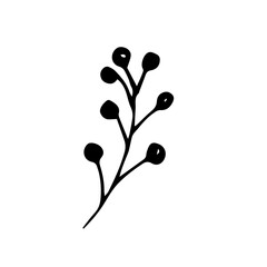 Vector of a twig with round berries.
