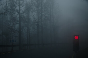Red no-passing light on a mountain road in fog. San Mateo. Gran Canaria. Canary Islands. Spain.