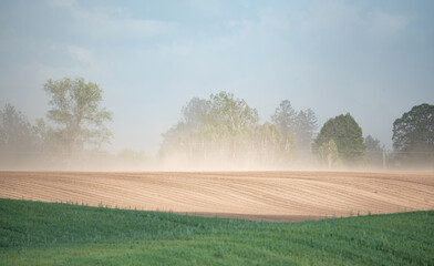 Sandstorm over farmland. Silence and wind blowing a cloud of dust. The impact of drought on crops...