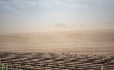 Sandstorm over farmland. Silence and wind blowing a cloud of dust. The impact of drought on crops and agriculture in Europe.