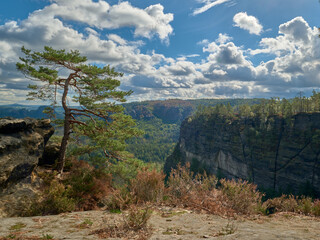 View from Kleiner Winterberg. Saxon Switzerland in Germany.