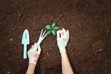 Gardening tools on fertile soil texture background seen from above, top view. Gardening or planting...
