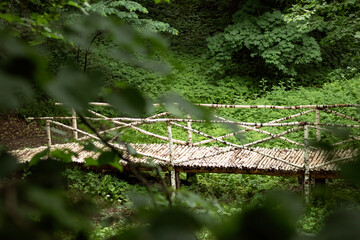 wooden bridge over the river in the forest